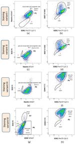 GFAP Antibody in Flow Cytometry (Flow)