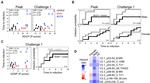 CD14 Antibody in Flow Cytometry (Flow)