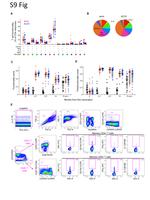 CD19 Antibody in Flow Cytometry (Flow)