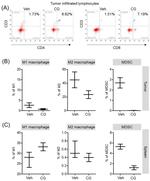 CD4 Antibody in Flow Cytometry (Flow)