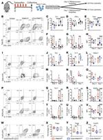 CD25 Antibody in Flow Cytometry (Flow)