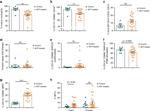 Myeloperoxidase (MPO) Antibody in Flow Cytometry (Flow)