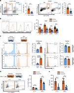 IFN gamma Antibody in Flow Cytometry (Flow)