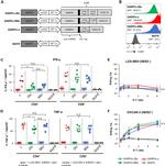 CD4 Antibody in Flow Cytometry (Flow)