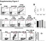 CD9 Antibody in Flow Cytometry (Flow)