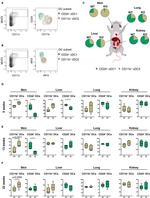 CD11b Antibody in Flow Cytometry (Flow)