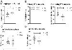 F4/80 Antibody in Flow Cytometry (Flow)