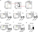 CD14 Antibody in Flow Cytometry (Flow)