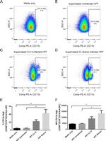 HLA-DR Antibody in Flow Cytometry (Flow)