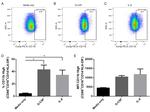 HLA-DR Antibody in Flow Cytometry (Flow)