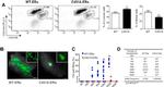 CD31 (PECAM-1) Antibody in Flow Cytometry (Flow)