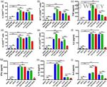 CD69 Antibody in Flow Cytometry (Flow)