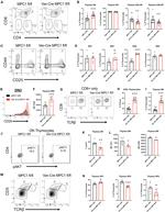 CD25 Antibody in Flow Cytometry (Flow)