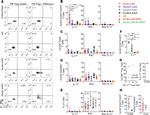 CD25 Antibody in Flow Cytometry (Flow)