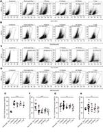 CD31 (PECAM-1) Antibody in Flow Cytometry (Flow)