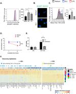 CD36 Antibody in Flow Cytometry (Flow)