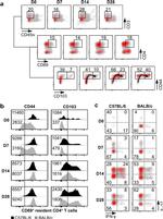 CD45 Antibody in Flow Cytometry (Flow)