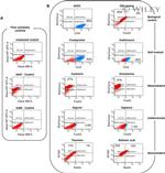 Nestin Antibody in Flow Cytometry (Flow)