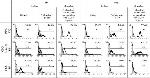 CD68 Antibody in Flow Cytometry (Flow)