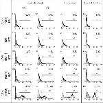 CD68 Antibody in Flow Cytometry (Flow)