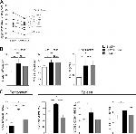 CD80 (B7-1) Antibody in Flow Cytometry (Flow)