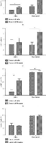 CD183 (CXCR3) Antibody in Flow Cytometry (Flow)