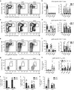 FOXP3 Antibody in Flow Cytometry (Flow)