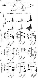 EOMES Antibody in Flow Cytometry (Flow)