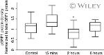 BRF1 Antibody in Immunoprecipitation (IP)