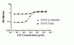 Human STAT5 alpha/beta InstantOne™ ELISA Kit