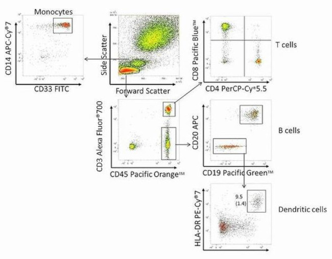 CD3e Antibody in Flow Cytometry (Flow)