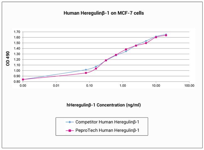 Human Heregulin beta-1 Protein in Functional Assay (FN)