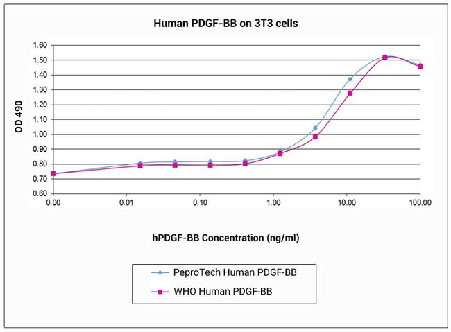 Human PDGF-BB Protein in Functional Assay (FN)