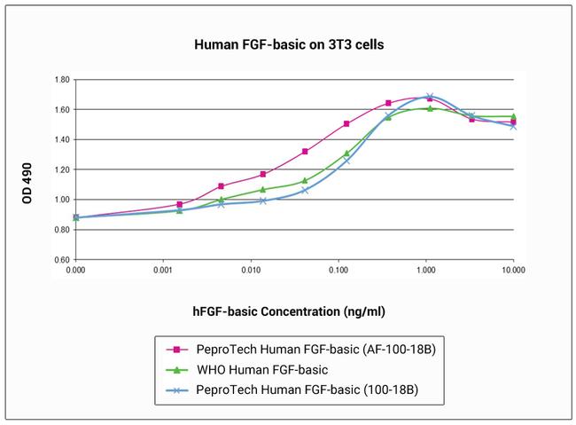 Human FGF-basic (FGF-2/bFGF) (154 aa) Protein in Functional Assay (Functional)