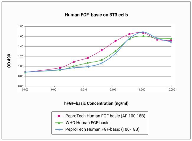 Human FGF-basic (FGF-2/bFGF) (154 aa) Protein in Functional Assay (FN)