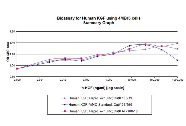 Human FGF-7 (KGF) Protein in Functional Assay (Functional)