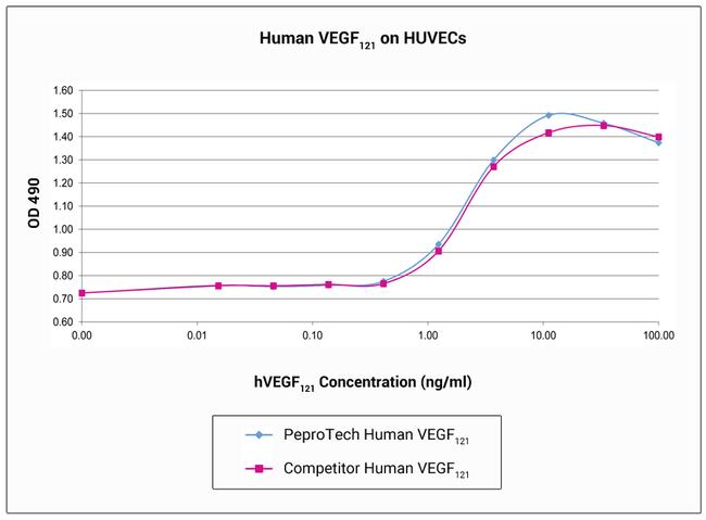 Human VEGF-121 Protein in Functional Assay (FN)