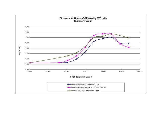 Human FGF-6 Protein in Functional Assay (FN)