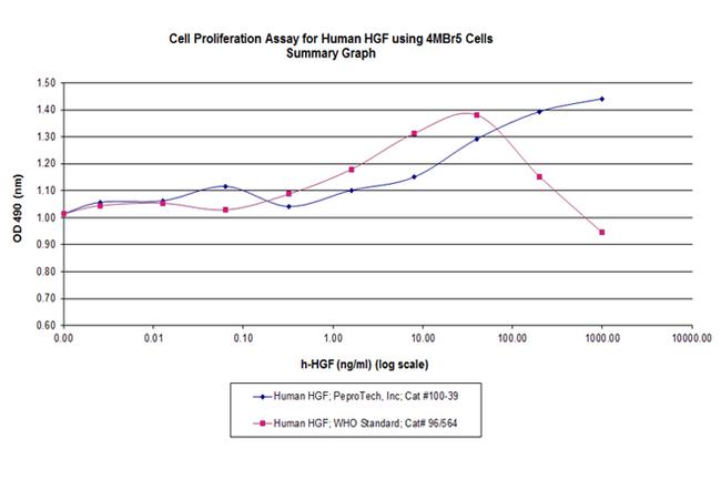 Human HGF Protein in Functional Assay (FN)