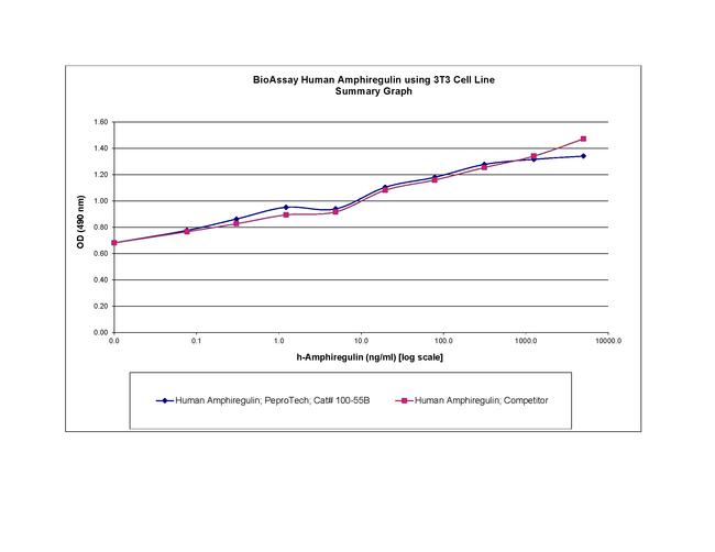 Human Amphiregulin Protein in Functional Assay (FN)