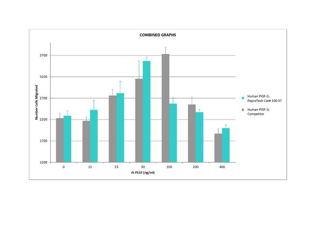 Human PlGF-3 Protein in Functional Assay (FN)