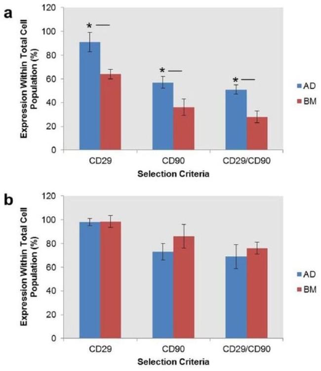 CD90.1 (Thy-1.1) Antibody in Flow Cytometry (Flow)