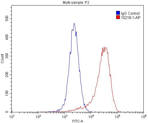 CDC37 Antibody in Flow Cytometry (Flow)