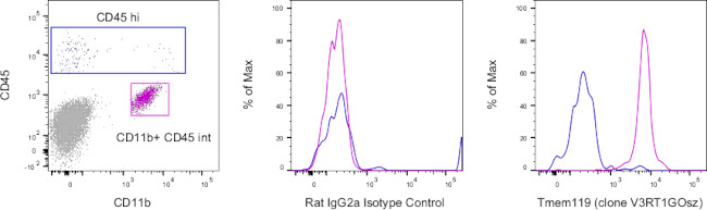 Tmem119 Antibody