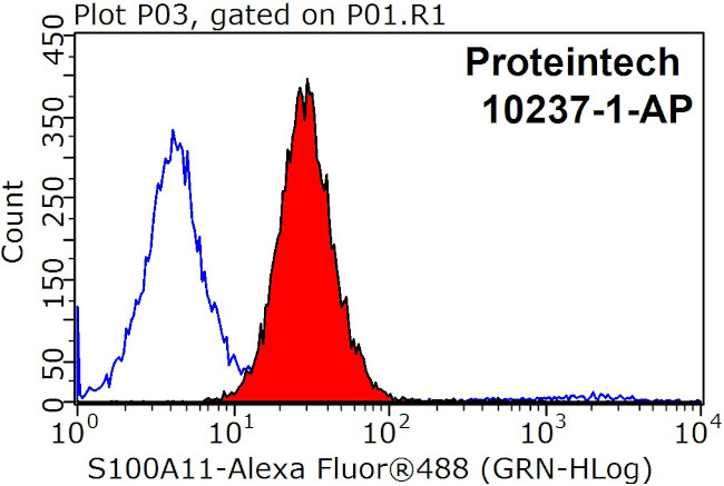 S100A11 Antibody in Flow Cytometry (Flow)