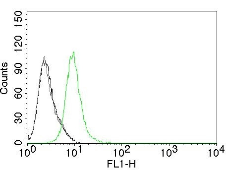 p27Kip1 (Mitotic Inhibitor/Suppressor Protein) Antibody in Flow Cytometry (Flow)
