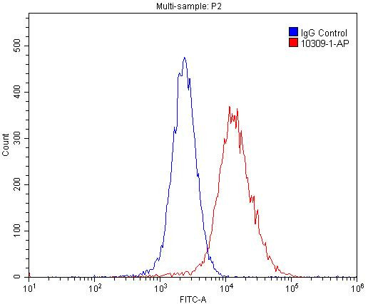 GPRC5A/RAI3 Antibody in Flow Cytometry (Flow)