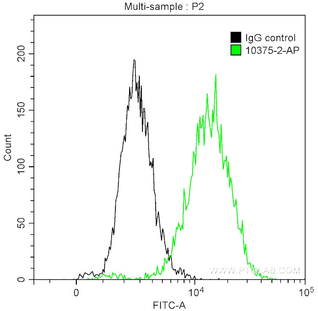 MMP9 (N-terminal) Antibody in Flow Cytometry (Flow)