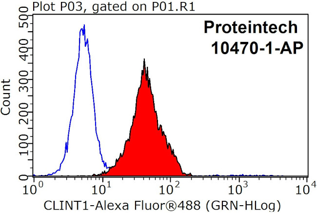 CLINT1 Antibody in Flow Cytometry (Flow)