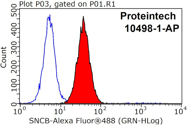 SNCB Antibody in Flow Cytometry (Flow)